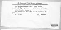 Image Associated With the Occurence